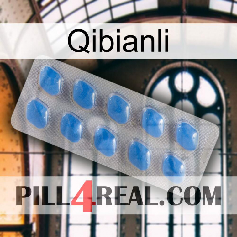 Qibianli 22